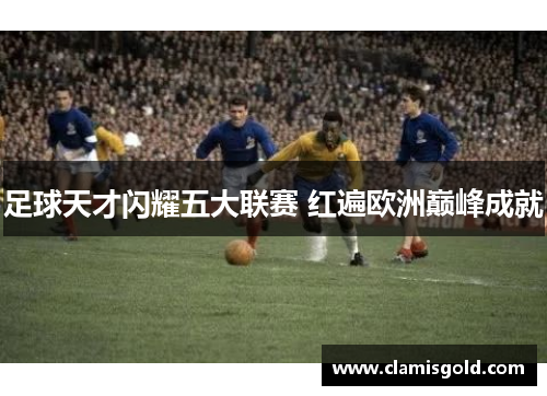 足球天才闪耀五大联赛 红遍欧洲巅峰成就